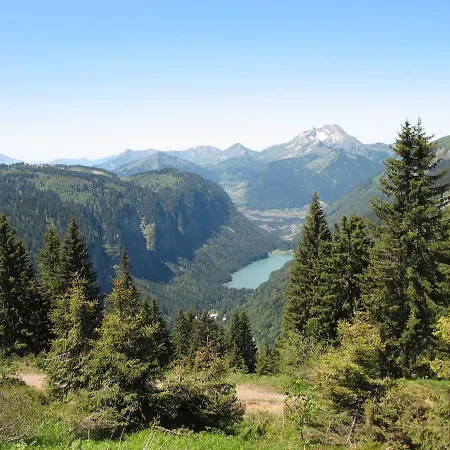 Le Petit Ramoneur * Châtel