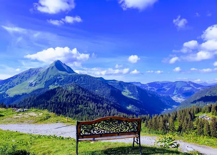 Le Petit Ramoneur Châtel